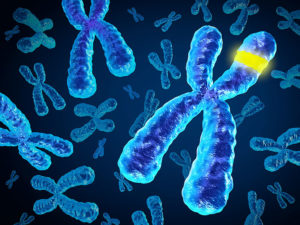 आनुवंशिक विकृती (Genetic disorder)