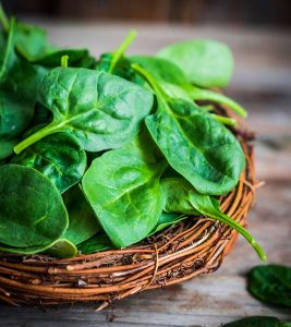 Read more about the article पालक (Spinach)
