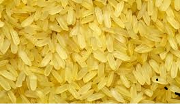 सोनेरी तांदूळ (Golden Rice)