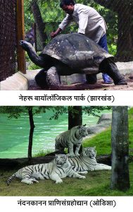 Read more about the article प्राणिसंग्रहोद्यान (Zoological garden)