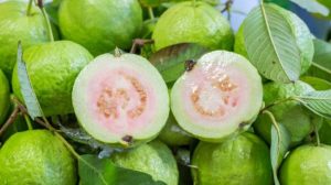Read more about the article पेरू (Guava)