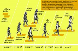 Read more about the article मानवाची उत्क्रांती (Evolution of Man)