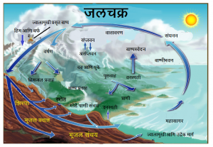 Read more about the article जलचक्र (Water Cycle)