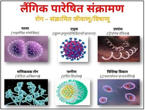 Read more about the article लैंगिक पारेषित संक्रामण (Sexually transmitted infection)