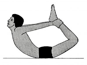 Read more about the article धनुरासन (Dhanurasana)