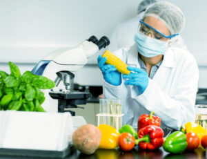 अब्जांश अन्न उद्योग (Nanotechnology in the Food Industry)