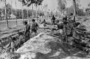 Read more about the article भारत-पाकिस्तान युद्ध, १९४७ (Indo-Pak War, 1947)