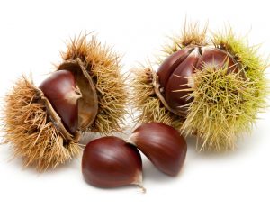 Read more about the article चेस्टनट (Chestnut)