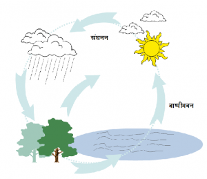 अवक्षेपण (Precipitation)
