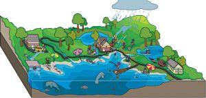 जलोत्सारण व्यवस्थापन (Watershed management)