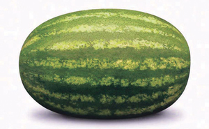 कलिंगड (Watermelon)