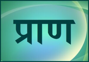 Read more about the article प्राण (योगविज्ञान)