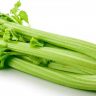 अजमोदा (Celery)