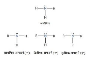Read more about the article अमाइने (Amines)