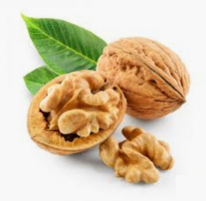 Read more about the article अक्रोड (Walnut)