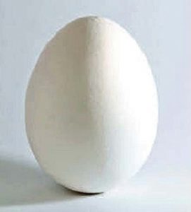 अंडे (Egg)