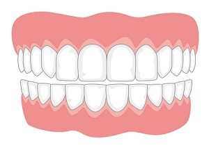 दात (Teeth)