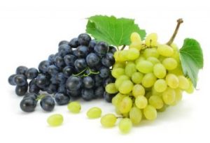 द्राक्ष (Grape)
