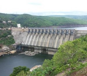 Read more about the article धरण परिसंस्था (Dam ecosystem)