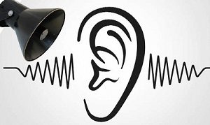 Read more about the article ध्वनी प्रदूषण (Noise pollution)