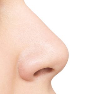 नाक (Nose)