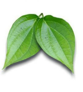 Read more about the article नागवेली (Betal leaf)