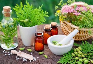 Read more about the article निसर्गोपचार (Naturopathy)