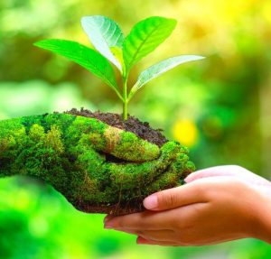 Read more about the article परिमैत्रीपूर्ण (Ecofriendly)