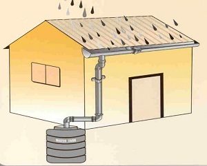 Read more about the article पर्जन्यजल साठवण (Rainwater harvesting)