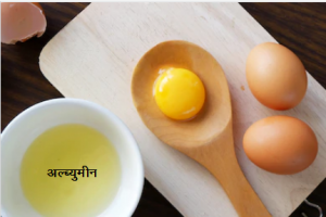 Read more about the article अल्ब्युमीन (Albumin)