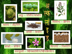 Read more about the article अल्कलॉइडे (Alkaloids)