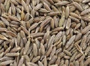 Read more about the article जिरे (Cumin)