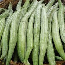 Read more about the article पडवळ (Snake gourd)