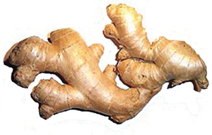 Read more about the article आले (Ginger)