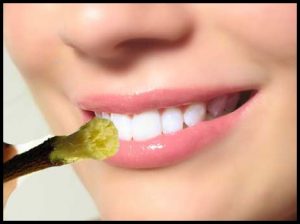 दंतधावन व जिव्हानिर्लेखन (Tooth Brushing and tongue cleaning)