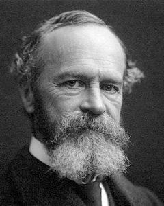 Read more about the article विल्यम जेम्स (William James)