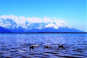 Read more about the article वुलर सरोवर (Wular Lake)