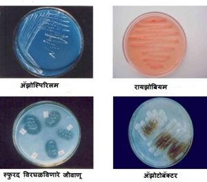 जीवाणू खते (Biofertilizers)
