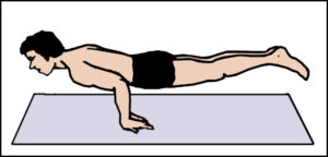 Read more about the article मयूरासन (Mayurasana)