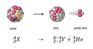 Read more about the article अल्फा ऱ्हास सिद्धांत (Theory of Alpha decay)