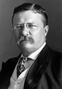 थीओडर रूझवेल्ट (Theodore Roosevelt)