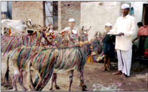 गाढवांचा पोळा