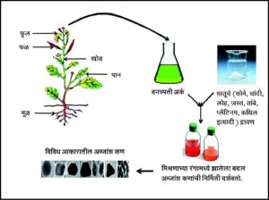 वनस्पती आधारित अब्जांश कण निर्मिती (Plant based synthesis of nanoparticles)