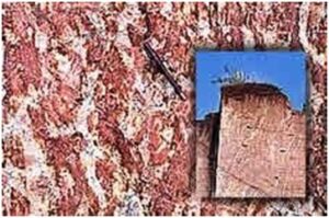 Read more about the article आर्थिक भू – स्मारके : जांभा खडक (Economic Geo – Monuments : Laterite Rock)