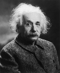 albert einstein essay in marathi