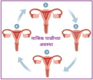 ऋतुस्राव व परिचर्या (Menstruation And Nursing)