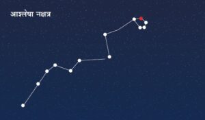 Read more about the article आश्लेषा नक्षत्र (Ashlesha Constellation)