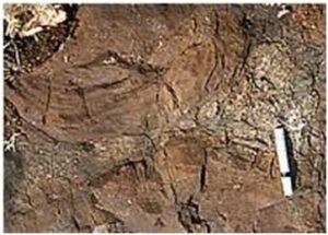 शिला स्मारके : उशी लाव्हा, लोह धातूचा पट्टा (Rock Monuments : Pillow Lava, Iron ore belt)
