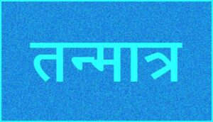 Read more about the article तन्मात्र