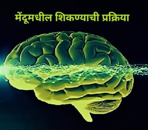 Read more about the article मेंदूमधील शिकण्याची प्रक्रिया (Learning Process in Brain)